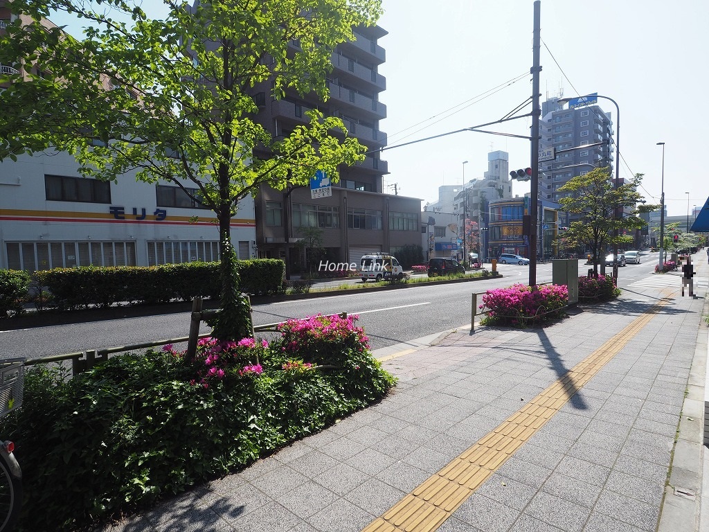 シティハウス板橋大山　前面道路歩道